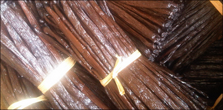 Vanille Bourbon de Madagascar