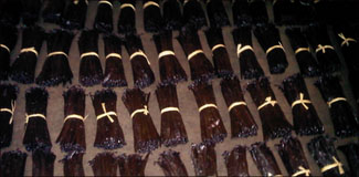 Vanille Bourbon de Madagascar