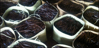 Vanille Bourbon de Madagascar